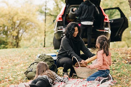 cheap-auto-insurance-picnic.jpg